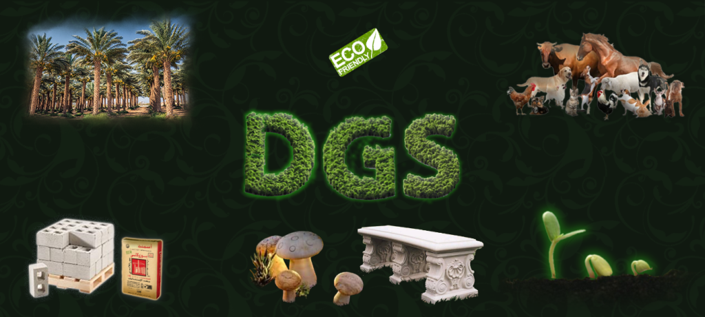 DGS - OUR FIELDS - Main