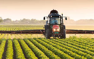 Agriculture Products